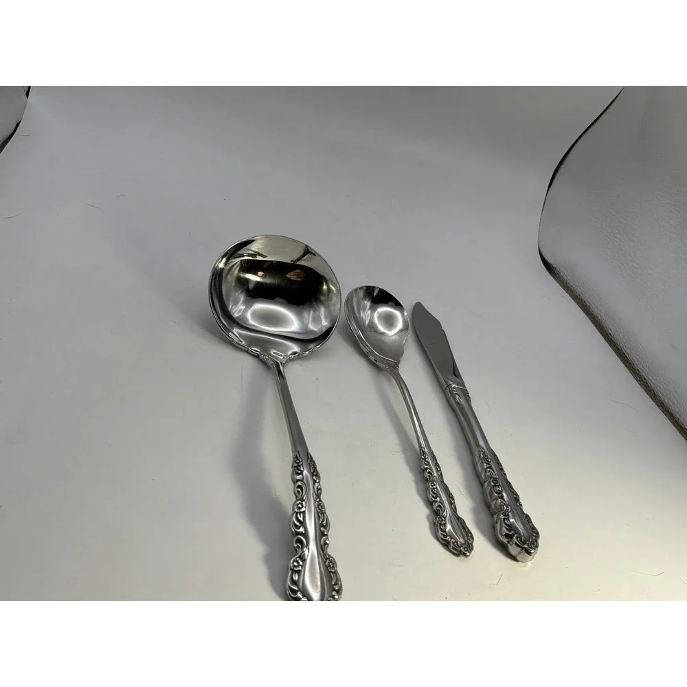 Oneida Shelley Stainless Steel Flatware 1 Knife Missing 31 Pieces 6 Piece Place‎